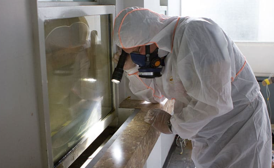 Termite Control – Reliable Services for Long-Term Protection